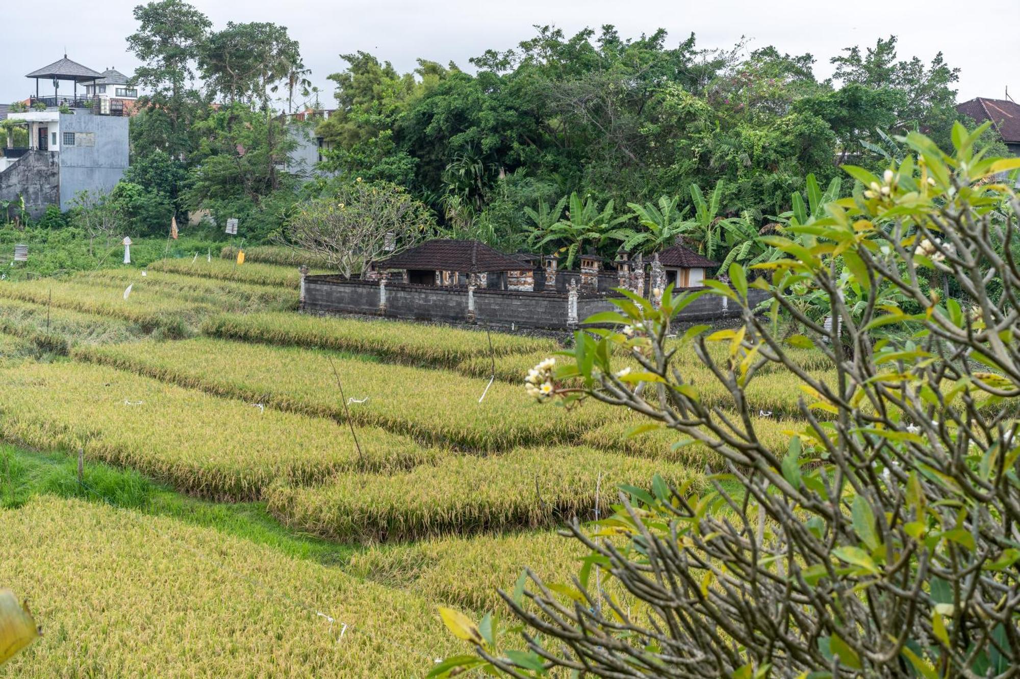 Villa Sunsara 4 - Enchanting 4Br Villa In A Great Location チャングー エクステリア 写真